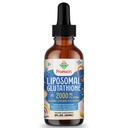 2000MG Liposomal Glutathione Liquid, 98% Absorption, Active Form L- Glutathione Supplement, Vegan Friendly, Kraftfuld Antioxidant Complex for Immunsystemet, Aging Defense, Detox, 2 FLLOZ