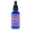 Eidon Ionic Minerals Flydende Zink koncentrat - Ionic Zink supplement dråber til voksne og børn, Support immunsystem, hår og hud, lever og nyresundhed, Relieves Stress - 2 oz