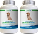 Dog probiotic Organic - Dog Premium PROBIOTICS - Savory Beef Flavor - Stops Diarrhea Bad Gas Bad Breath - Gut Health - Bad Breath Dogs Home Remedies - 2 Bottles (120 Treats)