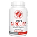 Sølv Fern GI Relief - Natural Herbal Supplement - Alle naturlige med Artichoke Leaf Extract, Ginger Root Extract, og GutGuard Lakrids Flavonoider (1 flaske - 60 kapsler - 30 dages forsyning)