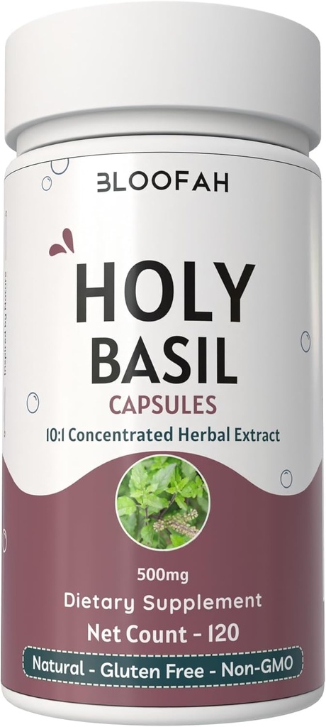 Holy Basilikum Leaf Kapsler 500mg • 124; Koncentreret 10: 1 Uddrag Ocimum tenuiflorum • Herbal Supplement • 124; Non- GMO, Gluten- Free • 124; Let at synke (120 Tæl (pakke med 1))