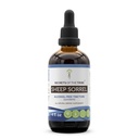 Secrets of the Tribe Sheep Sorrel Tincture Alcohol-Free Extract, Sheep Sorrel (Rumex Acetosella) Dried Herb 4 oz