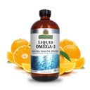 Nature 's Solution Liquid Omega-3 Yep 124; Deep Sea Fish Oil med EPA / DHA Kosttilskud 124; Kardiovaskulær Support 124; Ingen konserveringsmidler & Gluten- Free 16oz (pakke med 1)