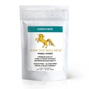 Addictive Wellness Cordyceps CS-4 Extract Powder - Pure & Potent for Energy and Endurance, 1 pakke