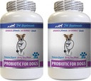 Dog probiotics and Digestive enzymes Powder - PROBIOTICS for Dogs - Healthy Gut - Stop Gas Diarrhea and Bad Breath - Digestive Boost - Dog probiotics Organic - 2 Bottles (120 Treats)