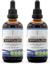 Secrets of the Tribe Cryptolepis Tincture Alcohol- Free Extract, High- Potency Herbal Drops, Tincture Made from Wildcrafted Cryptolepis Sanguinolenta 2x4 oz