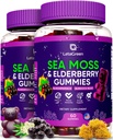 Irish Sea Moss Gummies - Sea Moss Bladderwrack Burdock Elderberry - 60 Vegan Seamoss Bears - Elderberry Gummies til børn og voksne med C-vitamin og zink (pakke med 2)