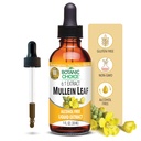 Botanic Choice Mullein Leaf Liquid Extract, Alkohol fri, Gluten fri, Traditional Respiratory Support 1 Fl. Oz.