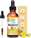 Botanic Choice Mullein Leaf Liquid Extract, Alkohol fri, Gluten fri, Traditional Respiratory Support 1 Fl. Oz.