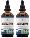 Hemmeligheder for Tribe Hydrangea Tincture Alkohol- Free Liquid Extract, Hydrangea (Hydrangea arborescens) Tørret rod (2x4 FL OZ)