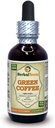 Grøn kaffe (Coffea Arabica) Tinktur, Økologisk Tørrede Bønner Liquid Extract (Brand Name: HerbalTerra, Stolt Made in USA) 2 fl.oz (60 ml)