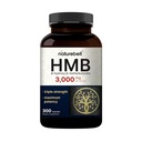 NatureBell HMB 3, 000 mg per servering + 125; 300 kapsler, 3 x tredobbelt styrke HMB beta- Hydroxy beta- methylbutyrat supplement - Lean Muscle Mass & Recovery Support - Non- GMO