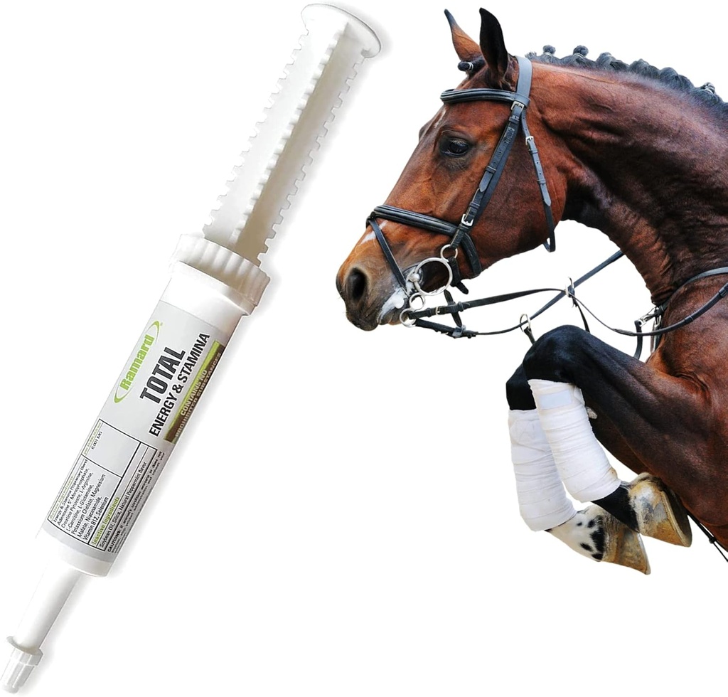 Ramard Total Energi og Stamina Support med B Vitamin & Aminosyrer, Maksimerer Oxygen Kapacitet, Peak Performance i konkurrence eller træning, Kraftfuld Vasodilator, Oral Gel, 15 cc Syringe, 1-Pack