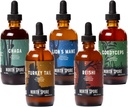 North Spore (5-Pack) Mushroom Tincture Variety Pack, 4 oz Each | Lion's Mane, Chaga, Cordyceps, Turkey Tail, Reishi | Organic, Vegan, Non-GMO | 100% Fruiting Body Extracts