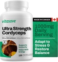 Vitasave Cordyceps Mushroom Supplement - 1000mg Ultra Strength - Natural Energy, Endurance & Immunsupport - Pure Vegan Kapsler - Non-GMO, Gluten- Free - 120 Greve (60 dages forsyning)