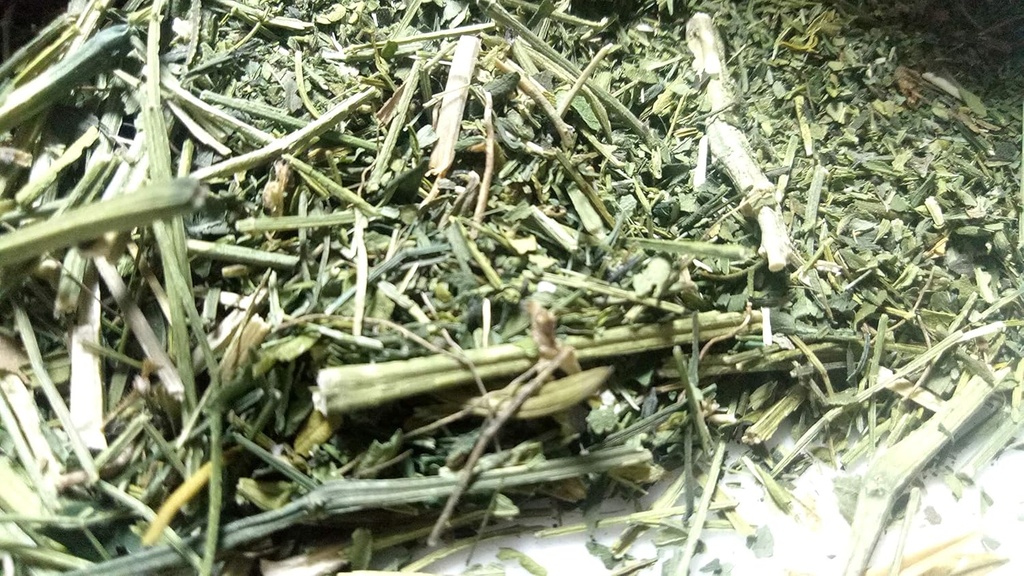 Ancient Indian Ayurvedic Herb Swertia, Chirayata, chirata fra Sanaa Zesty (4)