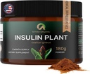 Premium Quality Costus Igneus (Insulin Plant) Powder - No Bad Taste (2 Month Supply) - Lavet i USA - herunder komplet helbredsprogram