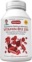 ANDREW LSSMAN Vitamin B12 250 180 Kapsler - Absorption- Protected Methylcobalamin (Natural Coenzym Vitamin B12), Essential for Energy and Stress Support, Plus B- Complex, Let at synke kapsler