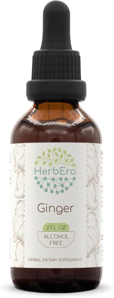 HerbEra Ginger B60 Alkohol- Free Herbal Extract Tinktur, Super- Koncentreret Ginger (Zingiber officinale) 2 fl oz