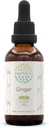 HerbEra Ginger B60 Alkohol- Free Herbal Extract Tinktur, Super- Koncentreret Ginger (Zingiber officinale) 2 fl oz