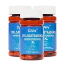 CAW Anti- Aging Supplement- 124; Hypersorption Cycloastagenol 98%