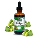 Naturens svar Alkohol gratis Ginkgo Biloba Leaf Extract, 2 Ounce, 2 Greve # 124; Understøtter en sund hjerne # 124; fremmer kognitiv funktion # 124; Øge Mental Klarhed # 124; Naturlig Focus Aid
