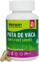 Hanan Pata de Vaca 100 Kapsler - Understøtter Detox & fordøjelsessundhed 100% Pure Cow 's Foot Leaves (Bauhinia forficata) Vegan & Non- GMO Natural Herbal Supplement fra Peru