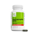 Terry naturligt Andrographis EP80 ekstra styrke - Hjerne sundhed & immunforsvar - Fælles sundhedstillæg til støtte mobilitet - Vegan Adaptogen supplement til energi & leverstøtte - 60 kapsler