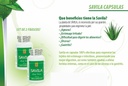 Nutrisalud Products Capsulas de Savila, Aloe Vera Capsules 500mg. Set de 2 Frascos 100 capsulas CADA un.Efectivo Contra ulceras, agruas, mala fordøjelse, Colitis, estreñimiento. Dura mas de 3 Meses.