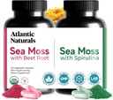 Atlantic Naturals Sea Moss Superfood Bundle - Sea Moss med Beet Root & Spirulina kapsler - Defense Support, Blood Flow, Joint Health & Iron - 240 kapsler (2 x 120 ct)