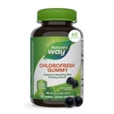 Nature 's Way Chlorophyll Gummies, Understøtter sund hud og krop Detox *, intern deodorant *, Orchard Fruit Flavored, 60 Gummies