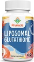 2400MG Liposomal Glutathion, with Vitamin C, Milk Thistle & Alpha- Lipoic Acid, Master Antioxidants, Pure Reduceret L- Glutathion - Immunsystemet, Cell Repair, Energy, High Absorption, 60 Softgels