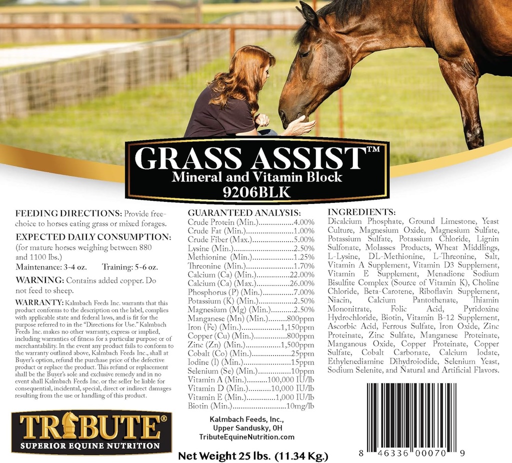 Kalmbach Feeds Grass Assist Mineral and Vitamin Block for Horse, 25 lb