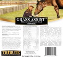 Kalmbach Feeds Græs Assist Mineral and Vitamin Block for Horse, 25 LB