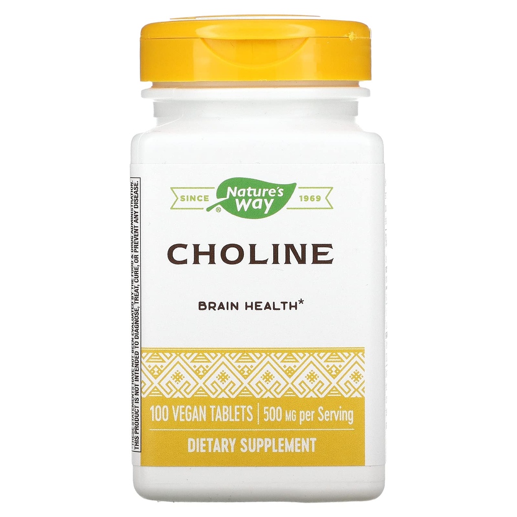 NATUR 'S WAY Cholin 500mg 100 tabletter
