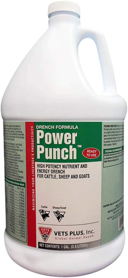 Vets Plus Power Punch, Energidrench, Gallon