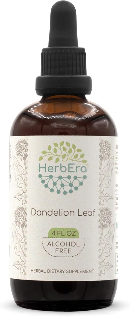 HerbEra Mælkebøtte Leaf B120 Alkohol- Free Herbal Extract Tinktur, Koncentrerede flydende dråber Natural Mælkebøtte (Taraxacum Officinale) Tørret Leaf (4 fl oz)