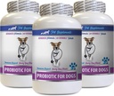 Dogs Bad Breath Eliminator - PROBIOTICS for Dogs - Gut Health - Stops Bad Breath and Gas - Digestive Boost - Dog probiotic and prebiotic - 3 Bottles (180 Capsules)