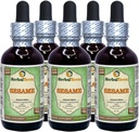 Sesame (Sesamum Indicum) Glycerit, Økologisk Tørret Frø Alkohol- GRATIS Liquid Extract (Brand name: HerbalTerra, Stolt fremstillet i USA) 5x2 fl.oz (5x60 ml)