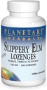 PLANETÆR HERBALS Slippery Elm Lozenges, Unflavored, 200 Count