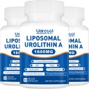 Urolithin A Supplement 1600mg Promote Muscle Strength and Energy Production, TMG for Sund Homocysteine Levels and Nicotinamid riboside NAD + Boost for Longevity - 60 Softgels (3 flasker)