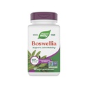 Nature 's Way Boswellia Premium Extract, Understøtter fælles mobilitet *, 307 mg Boswellia serrata Extract per Serving, Frankincense Supplement, Gluten Free & Vegan - 60 tabletter (Packaging May Vary)