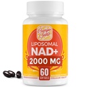 2000 MG NAD Supplement, Liposomal NAD + med høj absorption, mere effektiv end Nicotinamid Riboside, Pure & Plus Boosting Supplement, Aging Defense, Metabolisme & Cellular, 60 bløddele