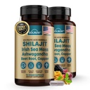 Shilajit Pure Himalayan Organic Capsules with Irish Sea Moss, Ashwagandha, Copper, Beet Root - Fulvic Acid Trace Minerals Supplement for mænd og kvinder - 90 Greve, Non- GMO, Gluten- Free