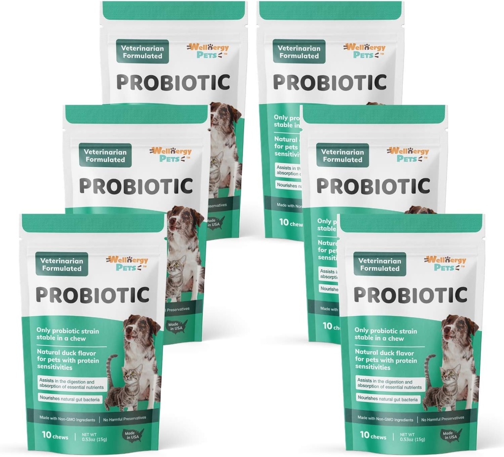 Wellnergy Daily Probiotic & Prebiotics Soft Chew for Dogs & Cats - Diarré, Forstoppelse, Opsat mave, Forstoppelse & Gas - Hjælper fordøjelse, Allergi Hud og immunforsvar 60ct