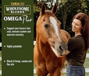 Wholesome Blends Omega Plus Oil Supplement for Horses, 1 Gallon
