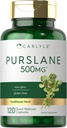 Carlyle Purslane Capsules | 500mg | 120 Count | Portulaca Oleracea Extract | Non-GMO, Gluten Free Supplement