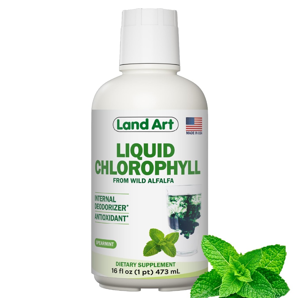 Land Art - Flydende chlorophyll Mint - Cold- Extrahered from Wild non-GMO Alfalfa - Natural chlorophila Liquida - Antioxidant - Detox Supplement - Boost Energy - Alkalisering & Body Odor Neutralizer - 16 floz