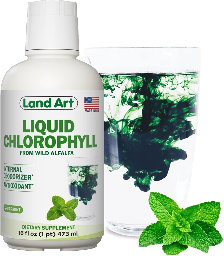 Land Art - Flydende chlorophyll Mint - Cold- Extrahered from Wild non-GMO Alfalfa - Natural chlorophila Liquida - Antioxidant - Detox Supplement - Boost Energy - Alkalisering & Body Odor Neutralizer - 16 floz