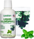 Land Art - Flydende chlorophyll Mint - Cold- Extrahered from Wild non-GMO Alfalfa - Natural chlorophila Liquida - Antioxidant - Detox Supplement - Boost Energy - Alkalisering & Body Odor Neutralizer - 16 floz